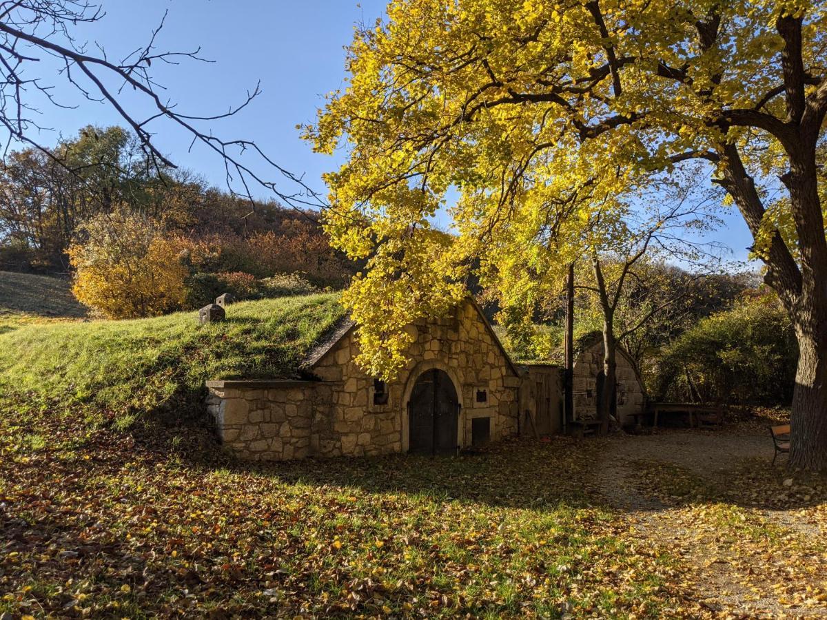 Bonito - Historischer Streckhof Schützen am Gebirge 외부 사진